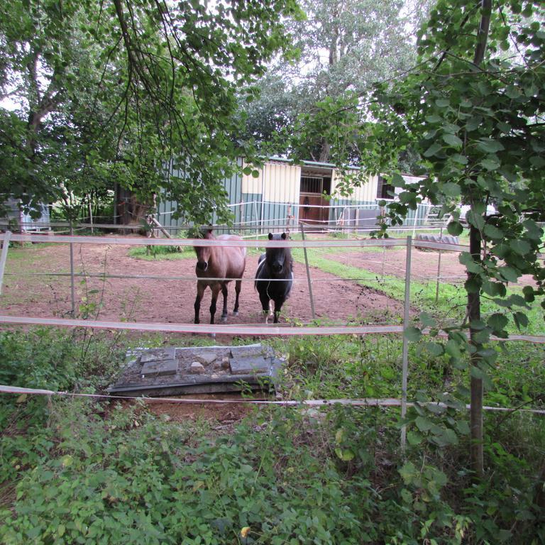 Ferienwohnung "Eifelstueffje" Mechernich Pokoj fotografie