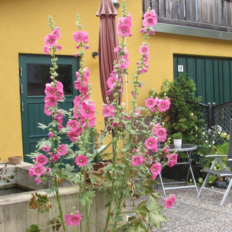 Ferienwohnung "Eifelstueffje" Mechernich Exteriér fotografie